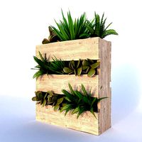 Planter Wodden Box
