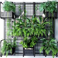 Wall Grid Plants Pot 6