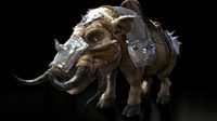 Armored Wild Boar