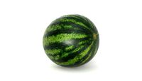 Watermelon 3D model  Photoscan  Melon