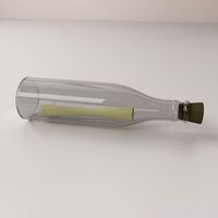 Letter In Bottle 3D Model