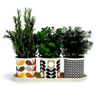 Kitchen Herbs In Pots Orla Kiely