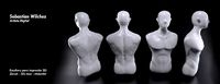 Male human torso statue | 3D