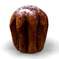 Pandoro-Photoscanned Pbr - Extended Licence