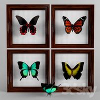 butterfly decor