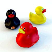Little Duck