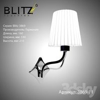 Blitz 3869-11