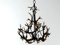 6 Light chandelier