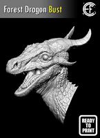 Forest Dragon Bust | 3D