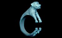 Rottweiler ring | 3D