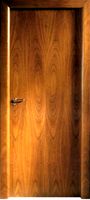 Door texture 3D Model
