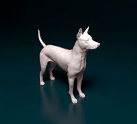 Thai ridgeback dog | 3D