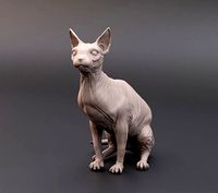 Sphynx cat | 3D