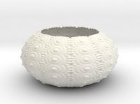 Sea Urchin Bowl | 3D