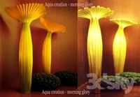 Aqua creation - Morning Glory, Anana Poof