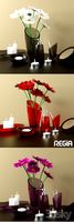 Bathroom accessories Regia