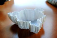 Fractal Bowl | 3D