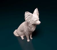 Papillon dog | 3D