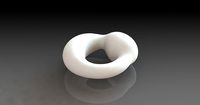 Off-center Toroid | 3D