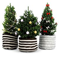 Christmas tree 2020