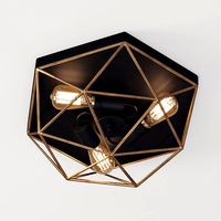 Prismatic Wire Cage Ceiling Light