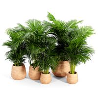Tula Planter Collection