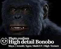 Bonobo High detailed Realistic 3D Model