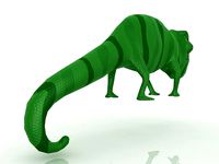 Chameleon