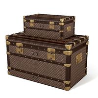 Louis Vuitton Trunks
