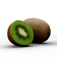 Green Kiwi Fruit 3D model photoscan