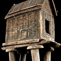 Madagascar House Walking
