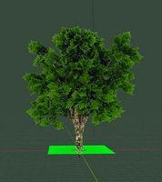 Realistic tree