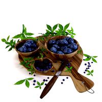 Berry Set