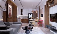 Apartment livingroom modern