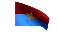 The flag of the Viet Cong
