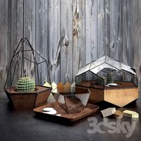 Decorative set with cacti