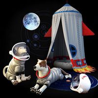 Childrens room set Tent rocket Dogs astronauts Toy dod