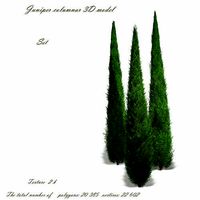 Juniper columnar