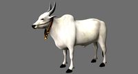 bull 3d model