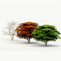 Maple Tree 02 G17 LOD