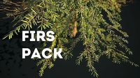 Douglas Firs Pack