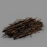 Tang Common objects - firewood stacks