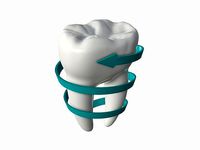 Tooth molars with arrow 03