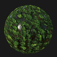 Mossy-Muddy Wetland Texture Se
