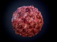 Gore Blood Guts Skin Cuts Seamless PBR Texture 2