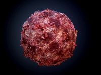 Gore Blood Guts Skin Cuts Seamless PBR Texture 2