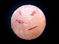 Gore Blood Guts Skin Cuts Seamless PBR Texture 0
