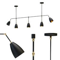 Chandelier Apparatus Lamp Twig