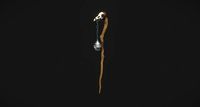 Plague Doctor Cane