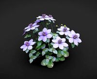 liverwort kidneywort hepatica nobilis lowpoly plant game ready